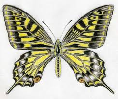 How To Draw A Butterfly Surprisingly Easy Metamorphosis a monarch butterfly vintage vector.