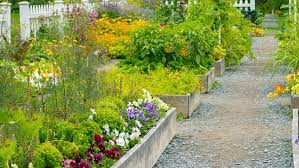 Maybe you would like to learn more about one of these? 9 Things To Know About Starting A Garden From Scratch