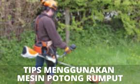 Jika rumput terlihat lebih hijau di sisi lain pagar, bisa jadi anda melakukan kesalahan memotong kardinal ini. Dealer Pemanas Air Depok Tips Menggunakan Mesin Potong Rumput