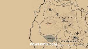 Red Dead Redemption 2 Legendary Cougar Location Rectangle Circle
