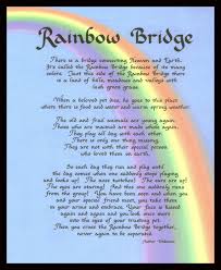 Check spelling or type a new query. Rainbow Bridge Dogs Prayer