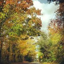 22 Best Taxi Images Taxi New York Taxi Black Cab