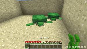 We did not find results for: How To Breed Turtles In Minecraft