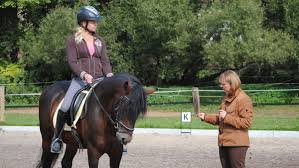 Compare prices & read reviews on top brands & products in home & garden, clothing & accessories, sports & outdoors, electronics & more! Riding Holiday Germany Classical Dressage Horsexplore