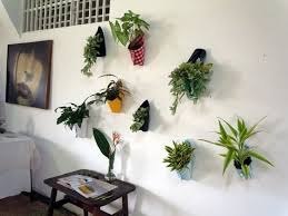 These indoor hanging plants do best in rooms with lots of space where they're free to trail down without bumping into anything. 51 Diy Hanging Plants Indoors Ideas Balcony Garden Web