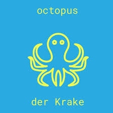 Noun Octopus Der Krake Learninggerman Deutchlernen Learngerman Germ Learn German German Learning