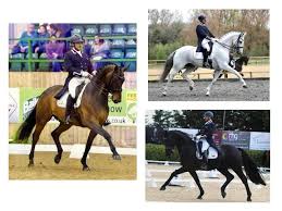 Absolutely delighted to have been selected on 3 horses for ...