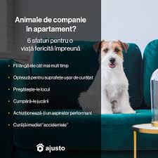 Animalele de companie trebuie sa detina noul tip de pasaport (de cand cu uniunea europeana) de culoare albastra, purtand stelele galbene din emblema. Animale De Companie In Apartament 6 Sfaturi Pentru O ViaÈÄ FericitÄ ImpreunÄ Blogul Ajusto Ro