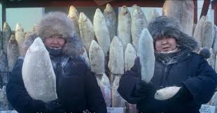 She's gone and done it! Top Campaigns The 50 Best Brand Adverts Of 2020 Analysis Features The Grocer