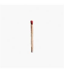 On 27 march, 2019, the Rammstein Cd Rammstein Rammstein Special Edition La Casa Del Disco