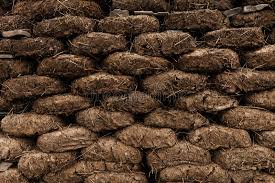 Managing horse manure can be a complex topic, and the principles presented here should be tailored to your specific situation. Blocks From Manure Are Used As Fuel For Heating The House During The Cold Period Stock Image Image Of Azerbaijan Building 116348099