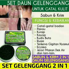 Contextual translation of ubat panau into english. Daun Gelenggang Ubat Eczema