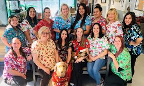 Maybe you would like to learn more about one of these? Our Team Palm Plaza Pet Hospital