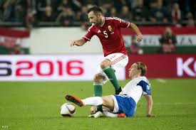 View the player profile of attila fiola (mol fehervar) on flashscore.com. Fiola Attila Kikerult A Keretbol Dunaujvaros Online