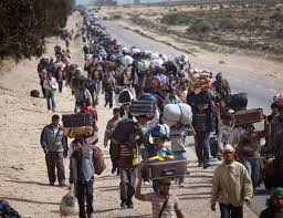 Organización internacional para las migraciones (oim), manual de la oim. Grandes Migraciones De La Historia Hacia La Tierra Prometida