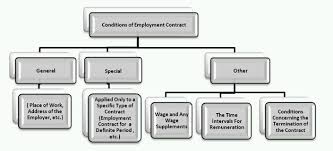 Agency agrees to indemnify, defend, and hold the company harmless from and against any and all costs, expenses (including attorneys' fees), liabilities, damages. Employment Contract Types And Terms And Conditions Permitted By Law Employment And Hr Turkey