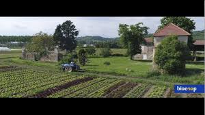 La Filiere Salades Chez Biocoop Decouvrez Les Producteurs Francais Local Salades Legumes Saison Commerceequitab Biocoop Salade Agriculture Biologique