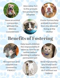 Find opening times for foster care associates near you. Foster City Of Fort Wayne