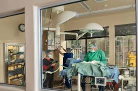 All pets animal hospital, located in katy, tx, is a medical facility for animals that offers comprehensive animal medical care services for pets including dogs, cats, and other household pets. Build Big Or Go Home A Veterinary Hospital Winner In Texas