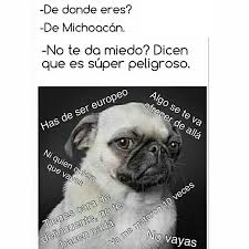Because the regular meme pages don't allow video links to collections i thought as someone who makes and watches them i would create a space for them. Michoacanos True Quotes Memes Tamaulipas