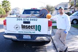 Pest control service hunter valley, central coast, newcastle, fully licenced pest control for ants, fleas, wasps, spiders, silverfish and how to prevent pests. Insect Iq Inc Reviews Pest Control At 406 Motor City Court Modesto Ca