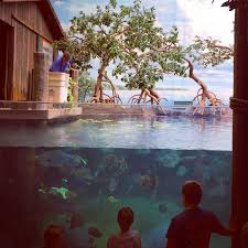 9 Things We Loved About The Columbus Zoo And Aquarium Adventure Mom Columbus Zoo Adventure Mom Zoo
