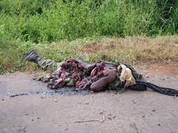 Maybe you would like to learn more about one of these? 50 Cal Wounds I Think Some Of These Might Be 50 Bmg Eyeblech