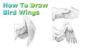 Maybe you would like to learn more about one of these? How To Draw Bird Wings Youtube
