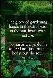 The Glory Of Gardening Garden Quotes Natural Pesticides Garden