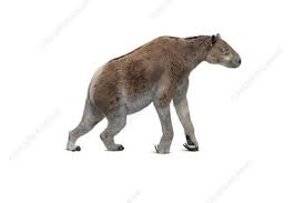 Embolotherium calf, model kit by vitali klatt. Extinct Perissodactyla Keyword Search Science Photo Library