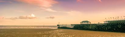 I now have help from my wife and a small select team of experienced pest. Pest Control Clacton Prokill Pest Control Clacton On Sea
