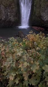 No filter needed :) #nature #twilightvibes