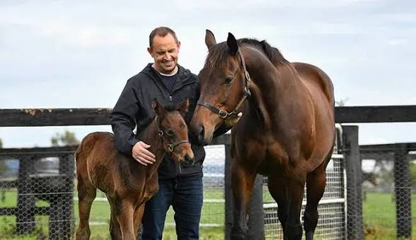 Waller: Special moment I met Winx foal | Racing.com