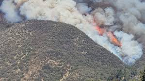 Se Reporta Incendio Forestal En La Comuna De San Jose De Maipo Meganoticias