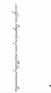 elvis rendon (rendondiazelvis9)