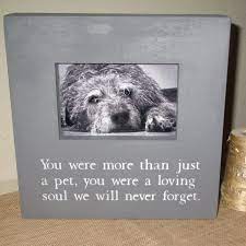Pet Loss Pet Memory Pet Memorial Sympathy Gift By Wordsofwisdomnh 3800 Animal Domestique Memoiriaux Danimal De Compagnie Chats Et Chatons
