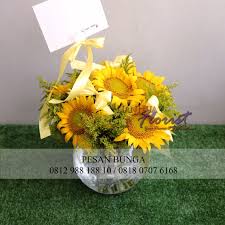 Jual beli bunga matahari, kota kupang. Toko Bunga Jakarta Florist Online Flowers Shop Indonesia