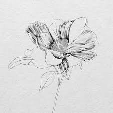 First, park breaks the flower down into simple shapes. How To Draw A Realistic Flower Sketch Pencil Or Ipad Vanessa Vanderhaven