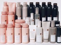 Image result for Maesa