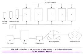 microbial production of fermented foods