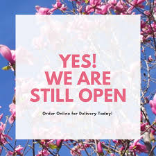 Discover our wonderful bouquets, carefully prepared by expert florists! Brisbane Florist Flower Delivery Service Flowers By Jane