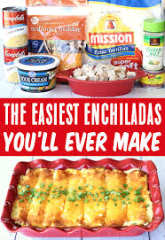 Sour Cream Chicken Enchilada Recipe Easy Dinner Idea In 2020 White Sauce Recipes Recipes Mexican Food Recipes