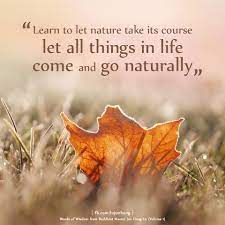Master Jun Hong Lu Learn To Let Nature Take Its Course Let All Things In Life Come And Go Naturally In This Way We Can Be Free From Afflictions Prajna Is The