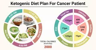 Diet Chart For Ketogenic Cancer Patient Ketogenic Diet