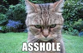 This is the best list of funny animal names, and we've got to say it's rather amusing! 29 Accurate Alternate Animal Names