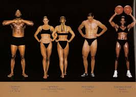 Women with a mesomorph body type are strong and athletic. The Body Shapes Of The World S Best Athletes Compared Side By Side Bored Panda