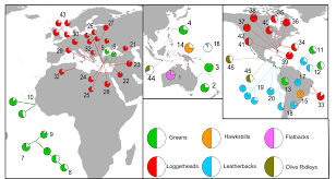 Figure 3 From Different Male Vs Female Breeding Periodicity