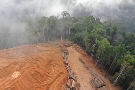 Fortuin r (2006) soil erosion in cameron highlands: What Is Deforestation Worldatlas