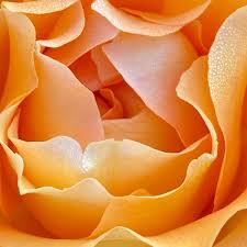 Find mother's day 2021 dates list, mother's day calendar, mother day date in india, international mothers day 2021 list, like usa mother's day dates 2021. 8rc80rak45ufxm