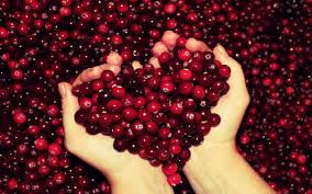 Image result for berries meaning